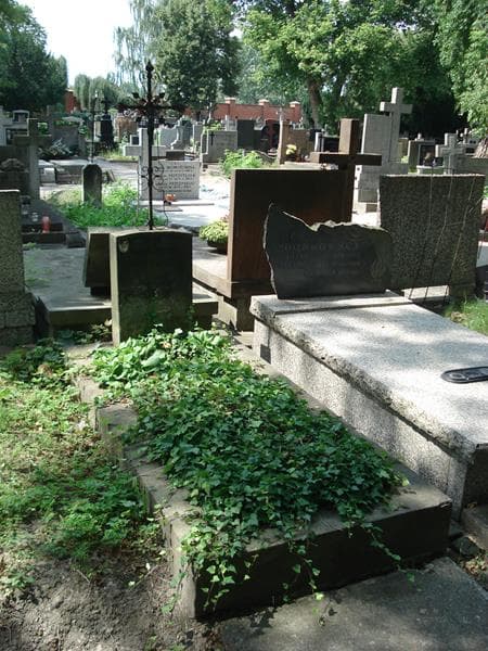 Zdjęcie grobu Leontyna Cybulska (1)