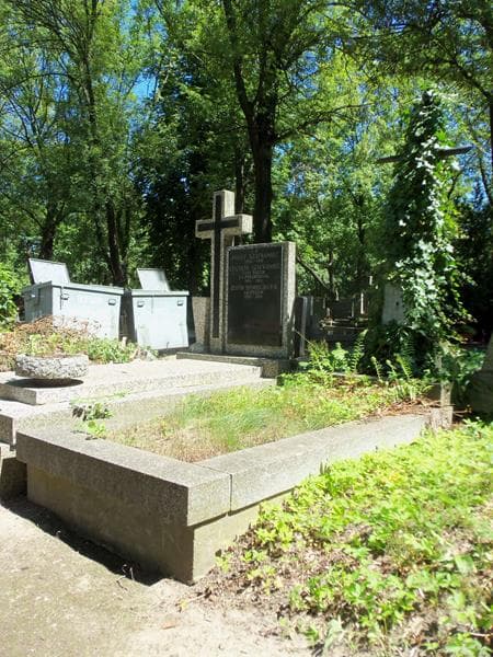 Zdjęcie grobu Wacław Terpiłowski (1)