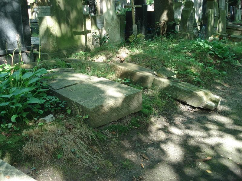 Zdjęcie grobu Andrzej Siedlanowski (2)