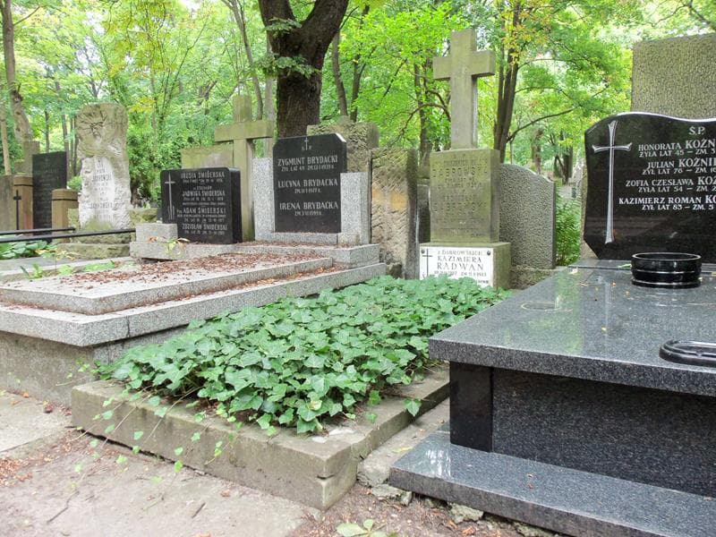 Zdjęcie grobu Bronisław Dąbrowski (1)