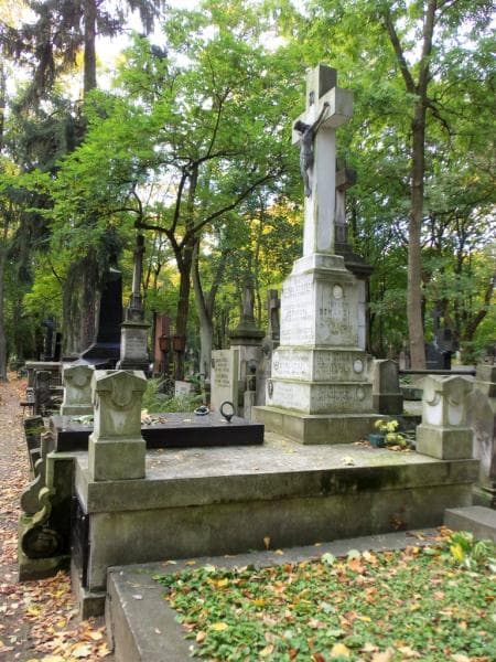Zdjęcie grobu Elżbieta Domańska (1)