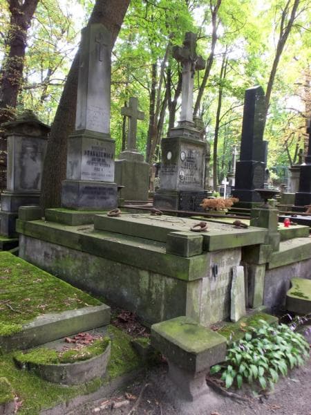 Zdjęcie grobu Bronisława Pucińska (1)