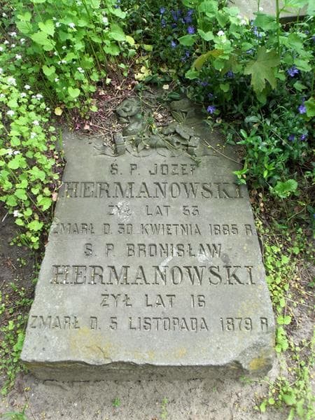 Zdjęcie grobu Józef Hermanowski (2)
