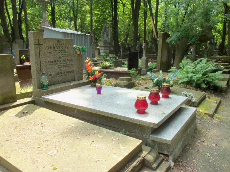 Zdjęcie grobu Janina Terlecka (2)