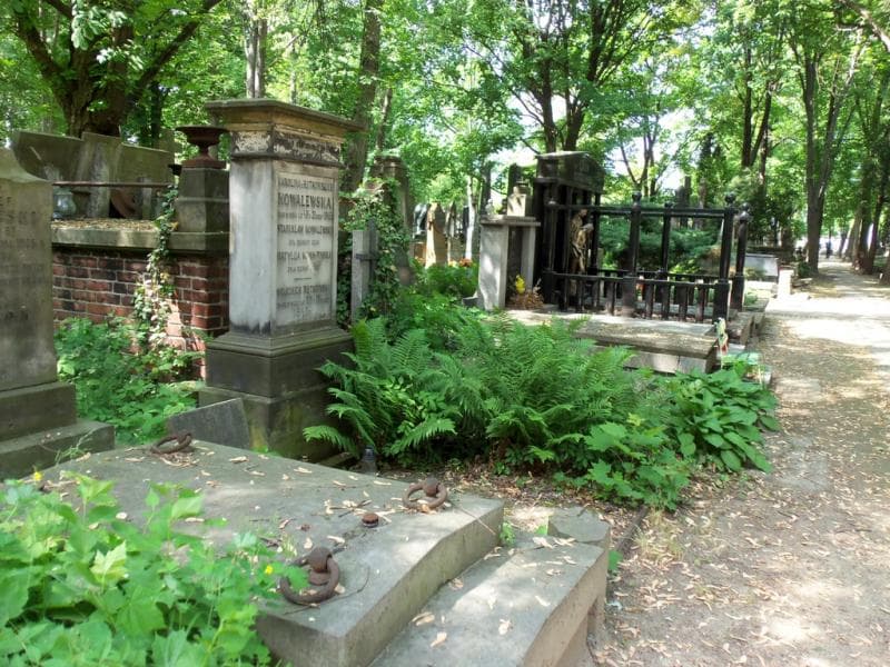 Zdjęcie grobu Karol Księżyk (1)
