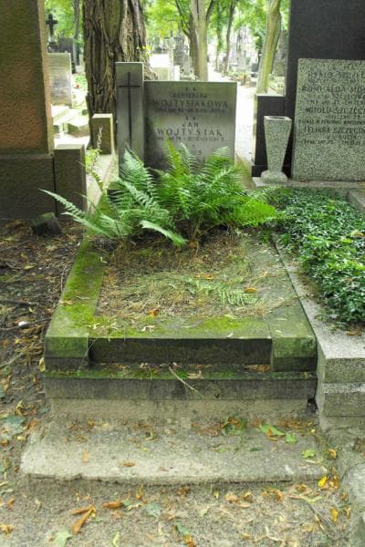 Zdjęcie grobu: Feliks Wojtysiak