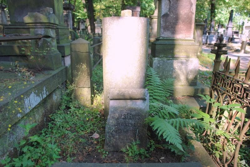 Zdjęcie grobu Aleksander Tomaszewski (2)