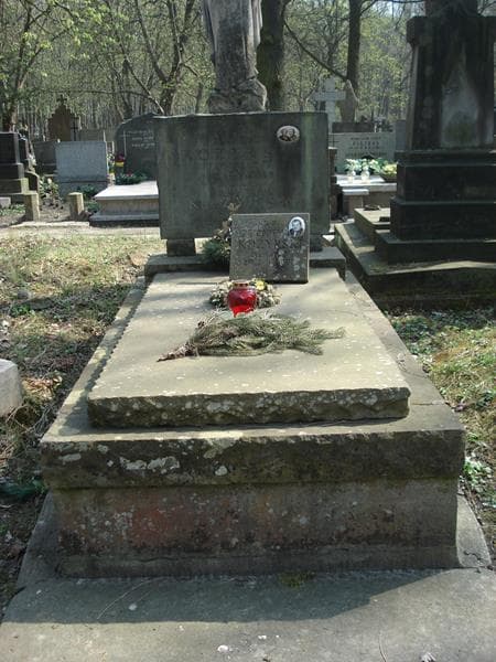 Zdjęcie grobu: Bronisława Kozyrska
