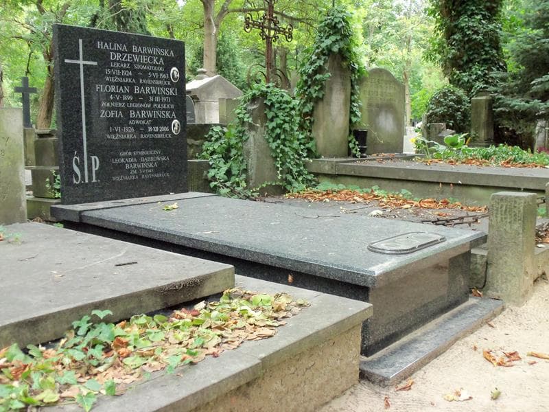 Zdjęcie grobu Florian Barwiński (1)