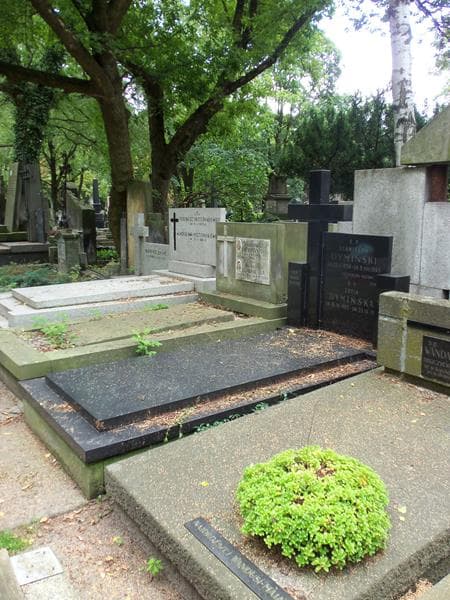Zdjęcie grobu Stanisław Dymiński (1)