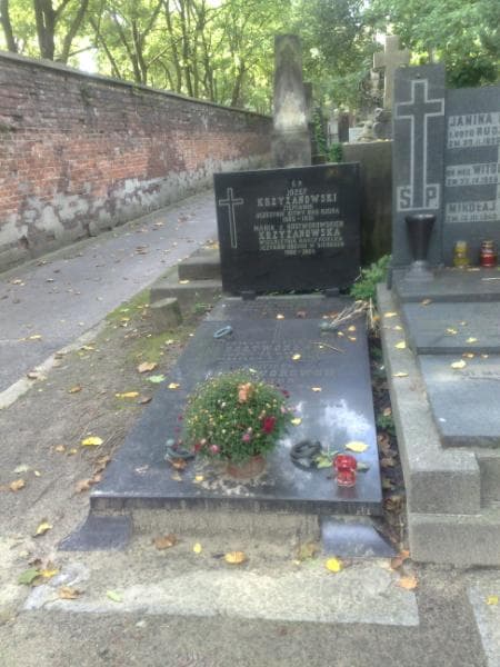 Zdjęcie grobu: Józef Krzyżanowski