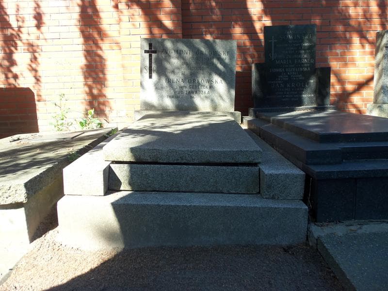 Zdjęcie grobu: Zygmunt Orłowski