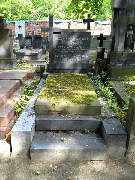 Zdjęcie grobu Edwarda Maria Marek (1)