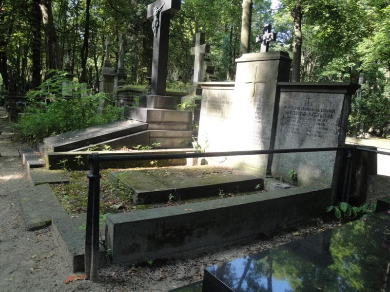 Zdjęcie grobu Ludwik Pomian-Srzednicki (1)