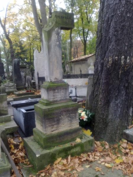 Zdjęcie grobu Marya Felicya Kryńska (1)