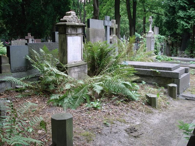 Zdjęcie grobu: Antoni Nowakowski