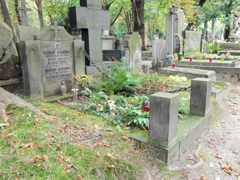 Zdjęcie grobu Bolesław Aleksiewicz (1)