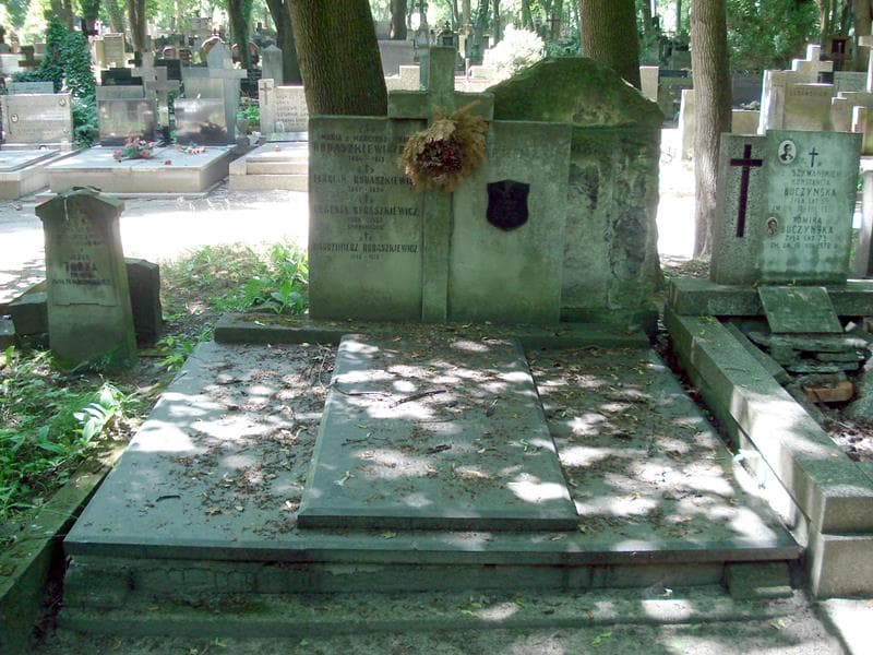 Zdjęcie grobu: Julian Bolesław Krzepisz