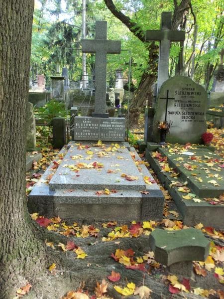 Zdjęcie grobu: Zofia Olszowska