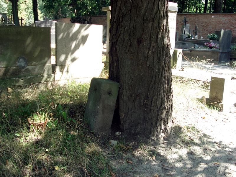 Zdjęcie grobu Pole Grobowe (1)