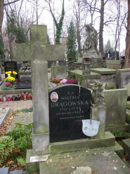 Zdjęcie grobu Waleria Drągowska (2)