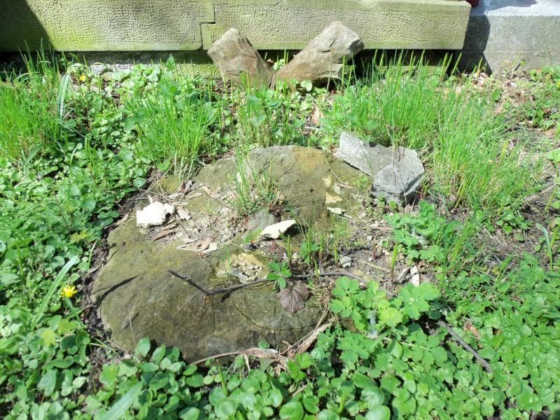Zdjęcie grobu Pole Grobowe (1)