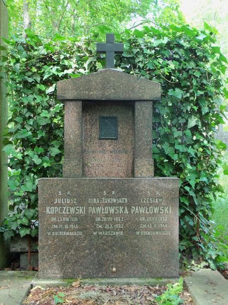 Zdjęcie grobu Alina Pawłowska (2)