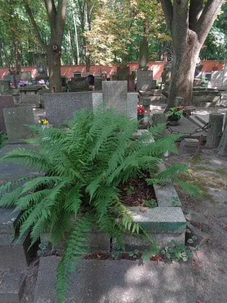 Zdjęcie grobu Henryk Głażewski (1)