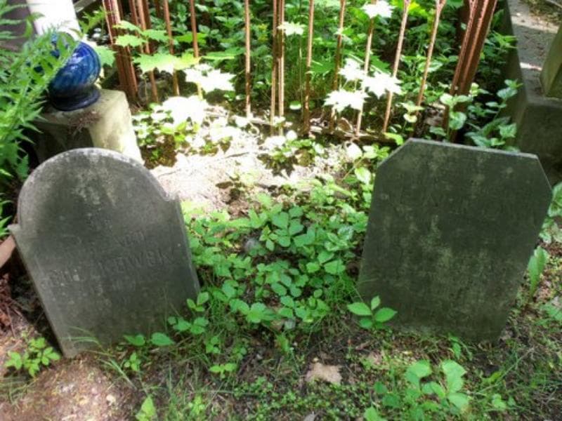 Zdjęcie grobu Tereska Auderska (2)