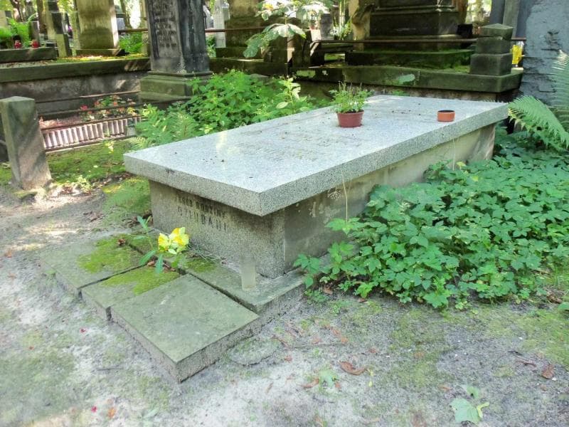 Zdjęcie grobu Krzysztof Piechowski (1)