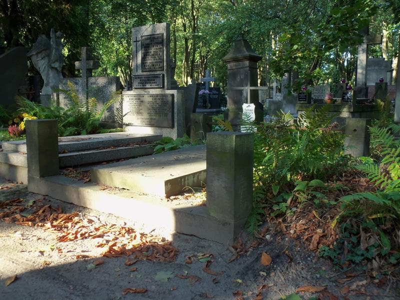 Zdjęcie grobu Tadeusz Braun (1)