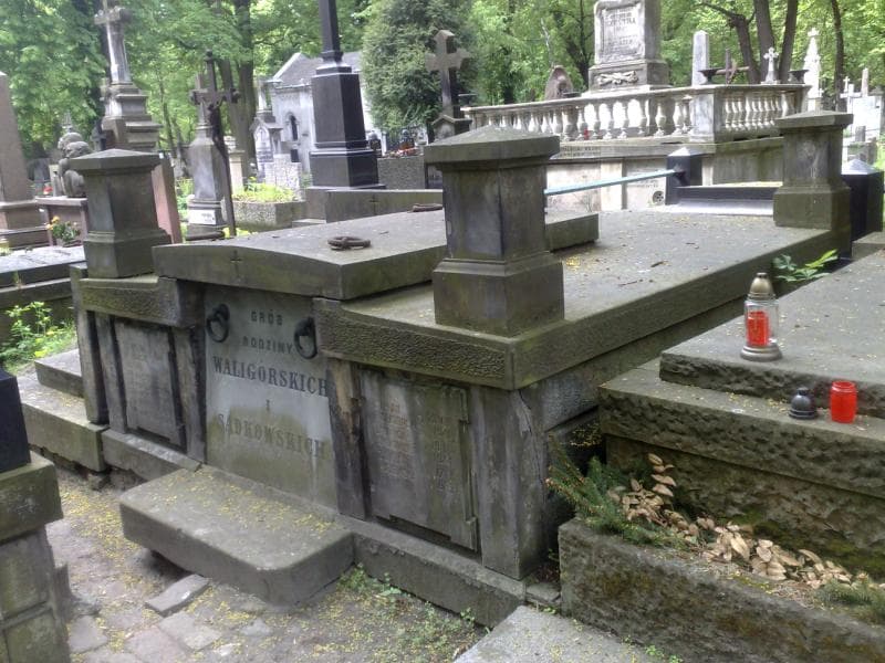 Zdjęcie grobu: Władysław Waligórski