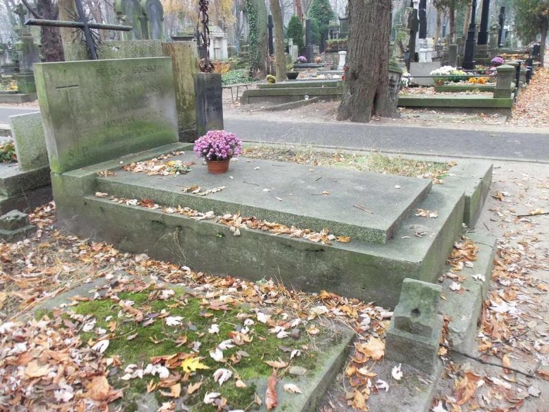 Zdjęcie grobu Franciszka Górska (1)
