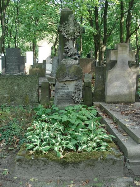 Zdjęcie grobu Tadeusz Koziołek (1)