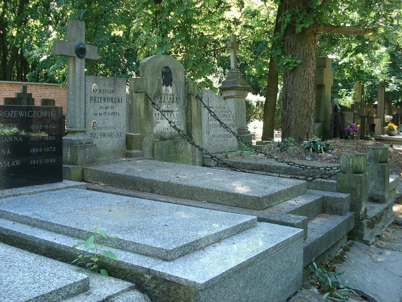 Zdjęcie grobu Wacław Przeworski (1)