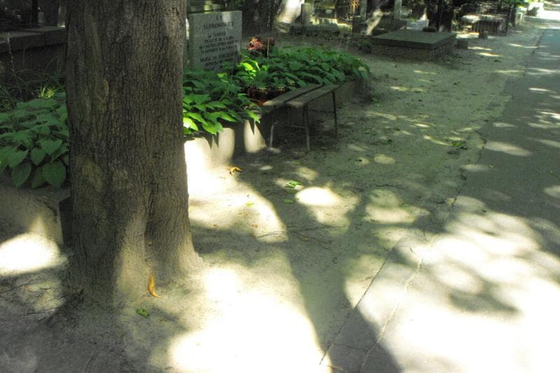 Zdjęcie grobu Pole Grobowe (1)