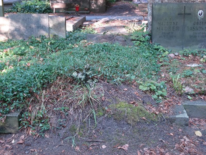 Zdjęcie grobu: Franciszka Zejdowska
