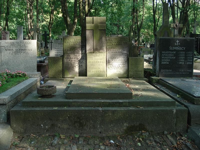 Zdjęcie grobu Stefan Dembowski (1)
