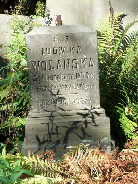 Zdjęcie grobu Ludwika Wolańska (2)