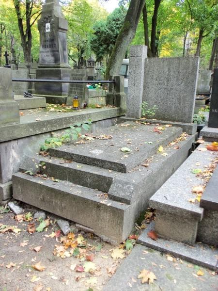 Zdjęcie grobu Marcelina Lewicka (1)