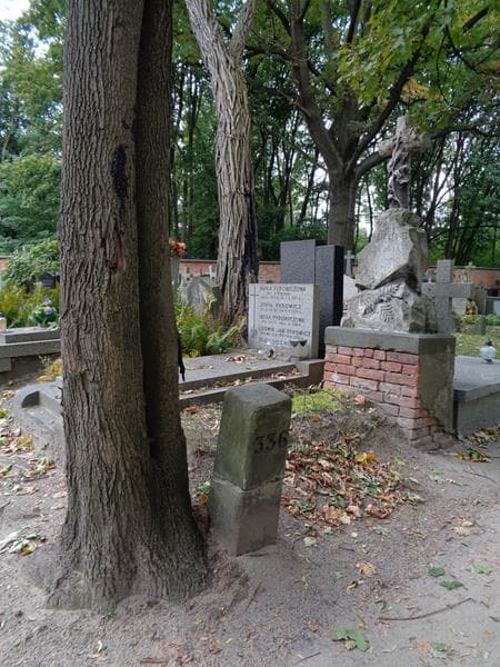 Zdjęcie grobu: Feliks Daniłowicz