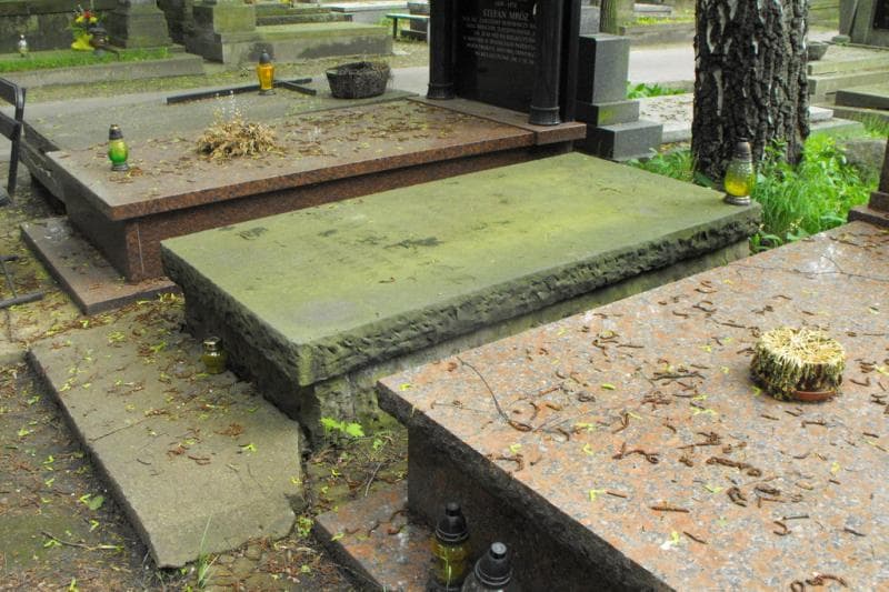 Zdjęcie grobu Janina Lang (1)