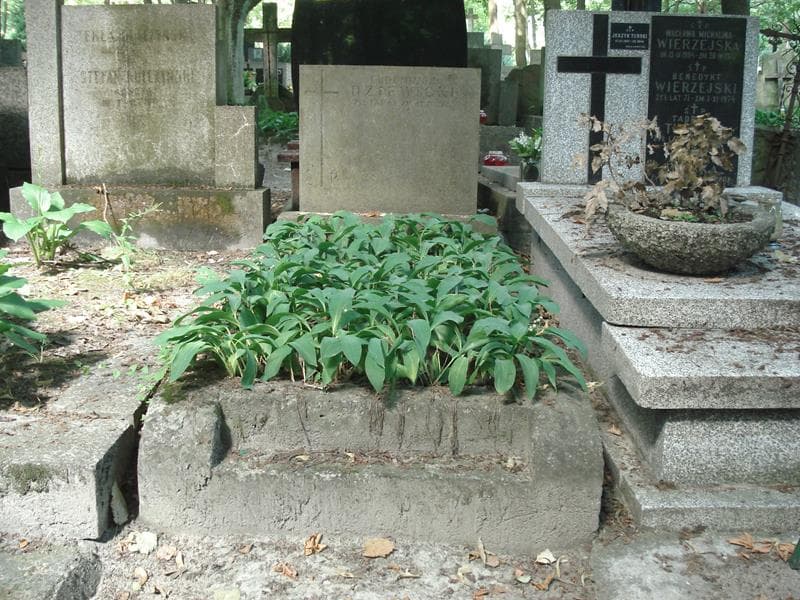 Zdjęcie grobu: Eugeniusz Dziewicki