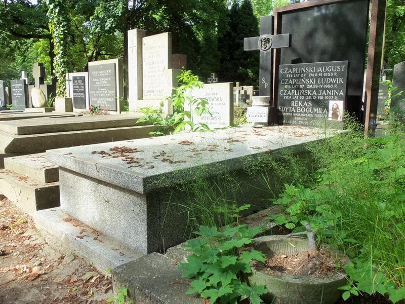 Zdjęcie grobu August Czapliński (1)