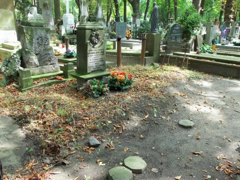 Zdjęcie grobu Aleksander Józef Adler (1)