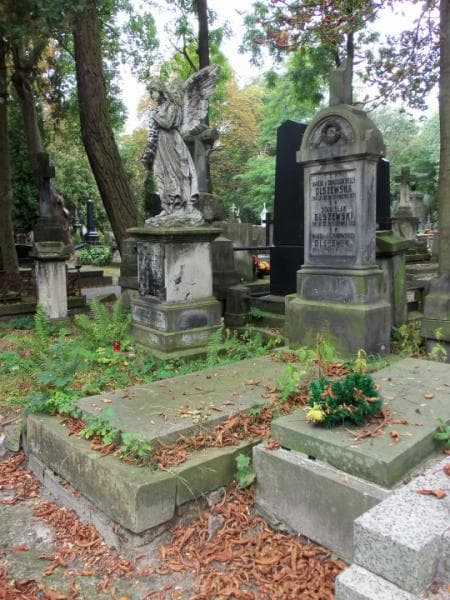 Zdjęcie grobu Stanisław Olszewski (1)