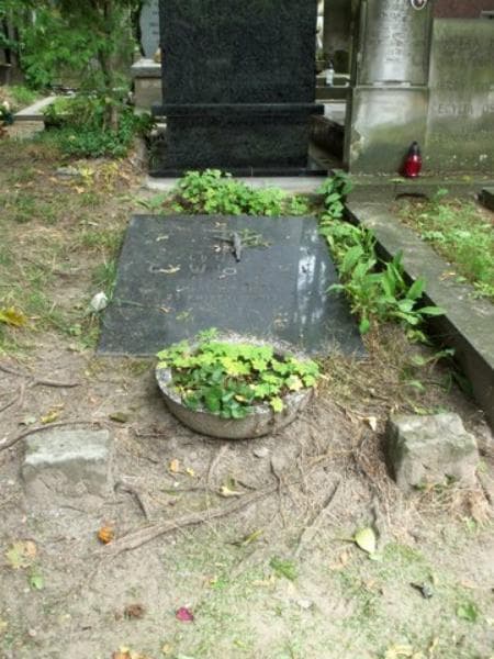 Zdjęcie grobu: Lucyan Cywiński