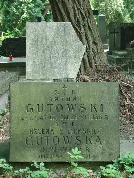 Zdjęcie grobu Augusta Cieńska (2)