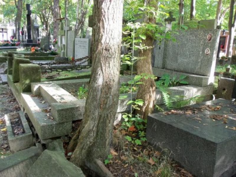 Zdjęcie grobu Bronisław Tymiński (1)