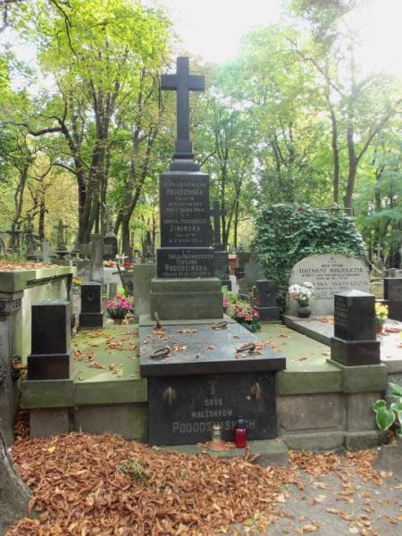 Zdjęcie grobu: Emilja Pogodzińska